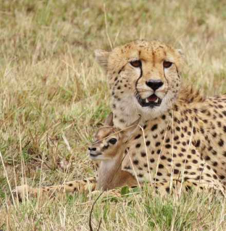 12-Day Romantic Escape - All Inclusive Honeymoon Budget Safari