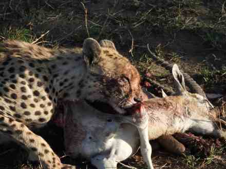 4 Days Tanzania Camping
