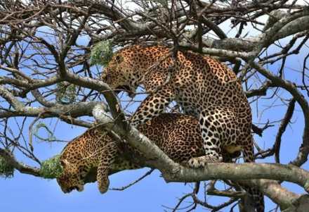 12-Day Northern Circuit Safari and Zanzibar Beaches Tour