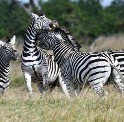 Day 9 Photo 4