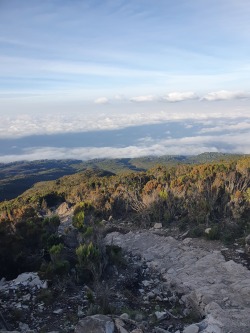 Day 6 Photo 4
