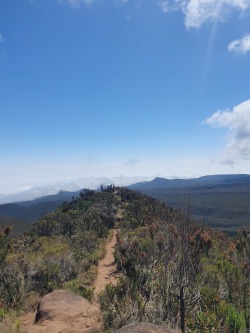 Day 4 Photo 1