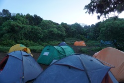 Day 3 Photo 4