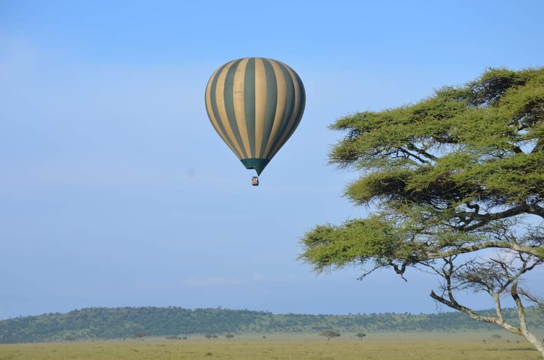 2-Day Tanzania Fly-in Mid-range Safari from Arusha: Fly-in Serengeti National Park Balloon Safari