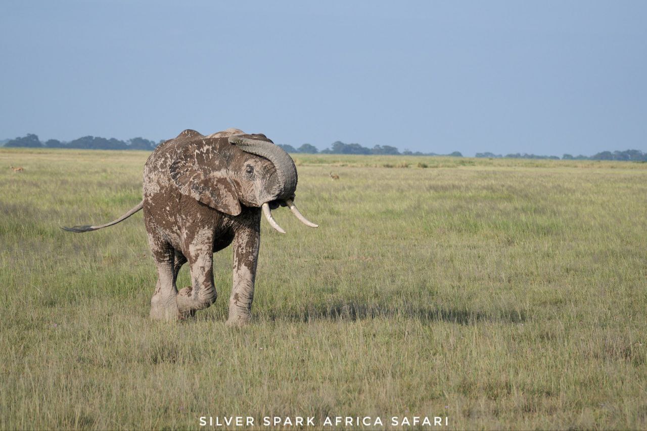 7-Day Samburu, Maasai Mara, L Nakuru, Lake Naivasha National Park
