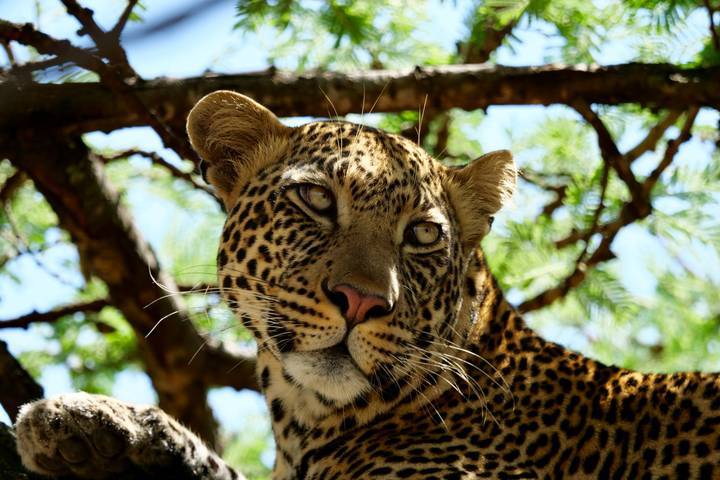 2-Day private Tarangire safari experience