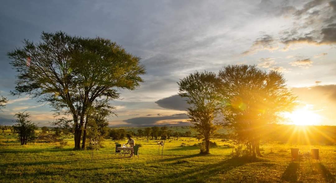 5-Day Best Group Shared Safari Tour in Tanzania: Tarangire, Serengeti, Ngorongoro, & Lake Manyara