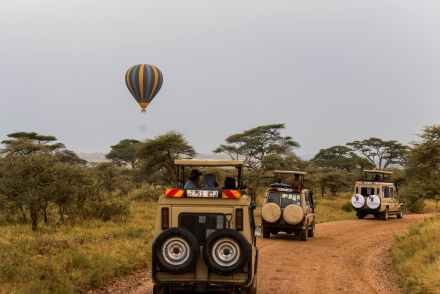 2 Days 1 Night Midrange Tarangire & Ngorongoro Crater Safari
