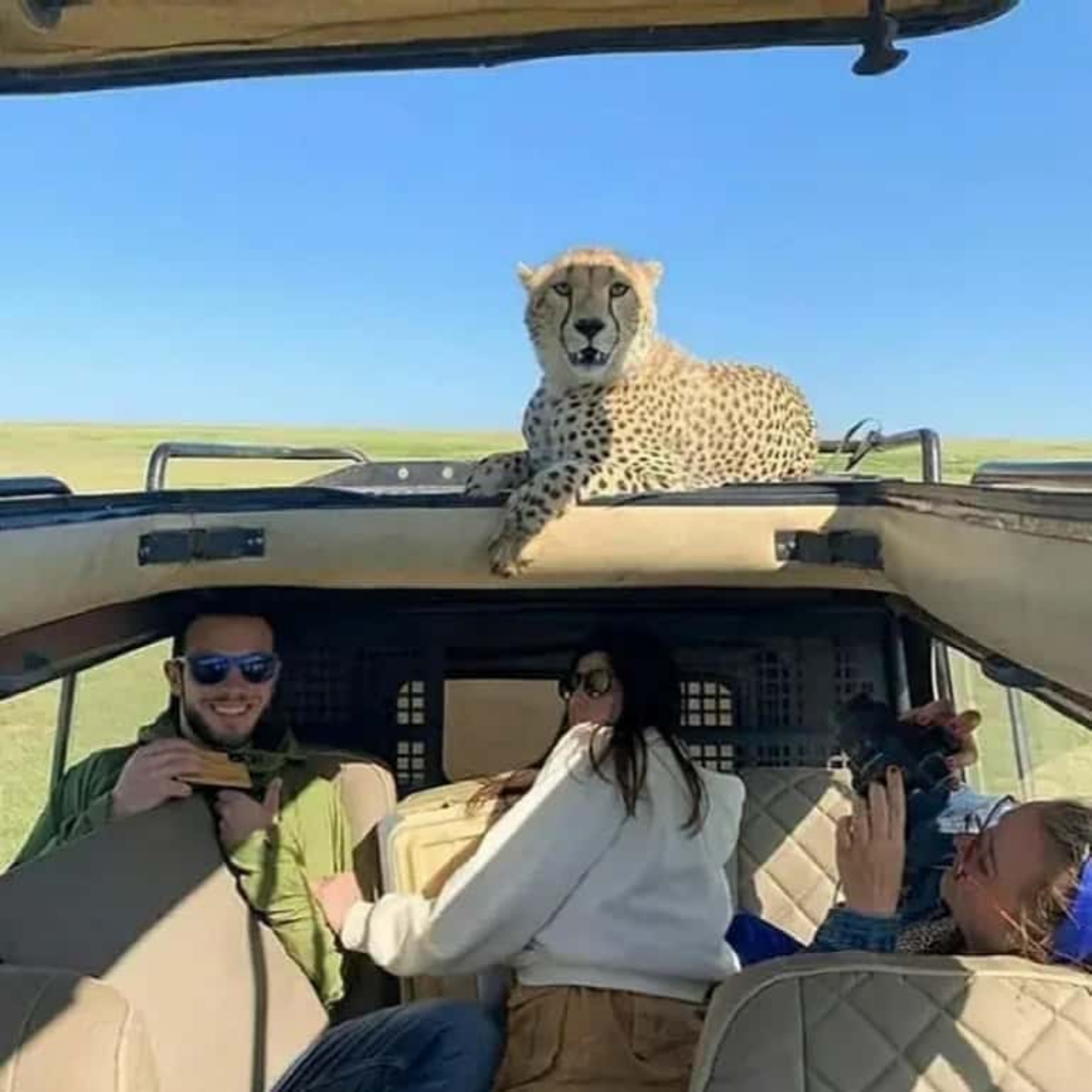 4-Day Safari Tarangire, Serengeti and Ngorongoro Join group tour.