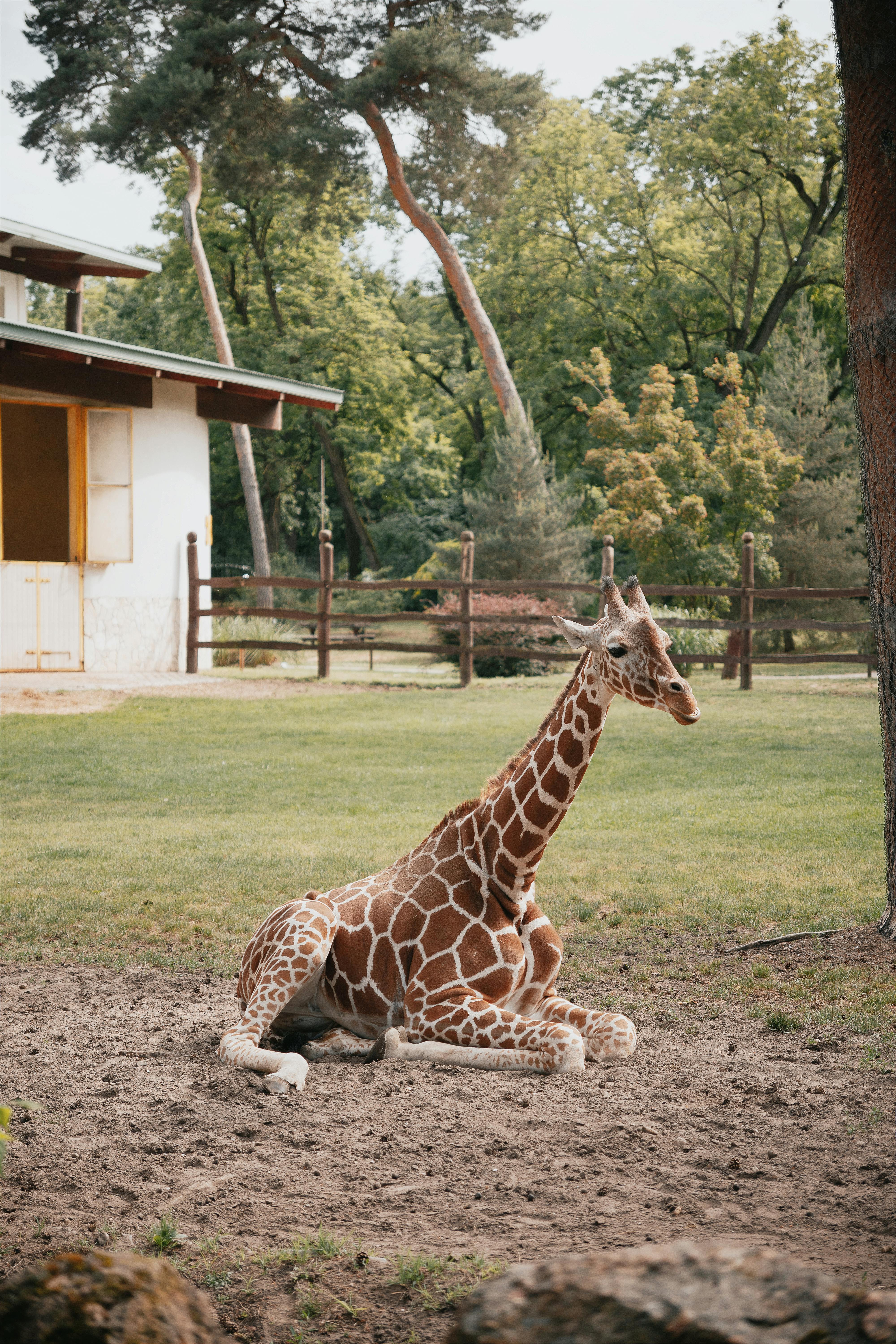 1 Day Aya Sophia Wildlife Day Trip Experience