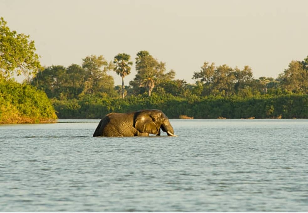 3-Day Nyerere National Park former Selous Game Reserve