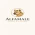 Alfamale Tours & Safaris
