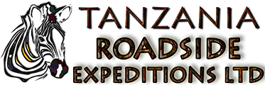 FindTourGuide