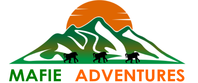 FindTourGuide