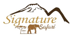 FindTourGuide