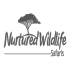 Nurtured Wildlife Safari Tours