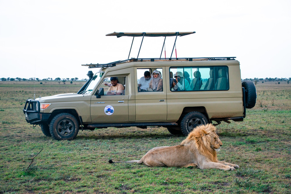 FindTourGuide