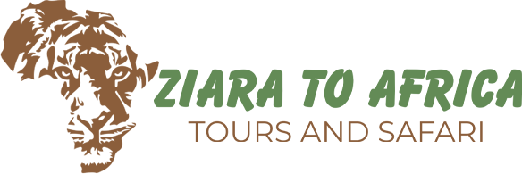 FindTourGuide