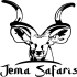 Jema Safaris