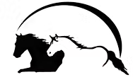 FindTourGuide
