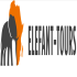 Elefant Tours