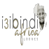 Isibindi Africa