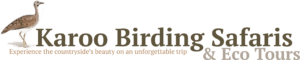 Karoo Birding Safaris