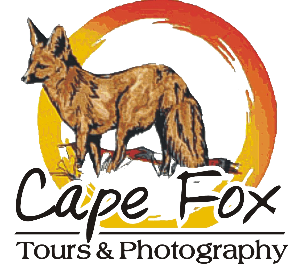 FindTourGuide