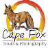 Cape Fox Tours and Safari