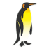 Cape of Good Hope Tours