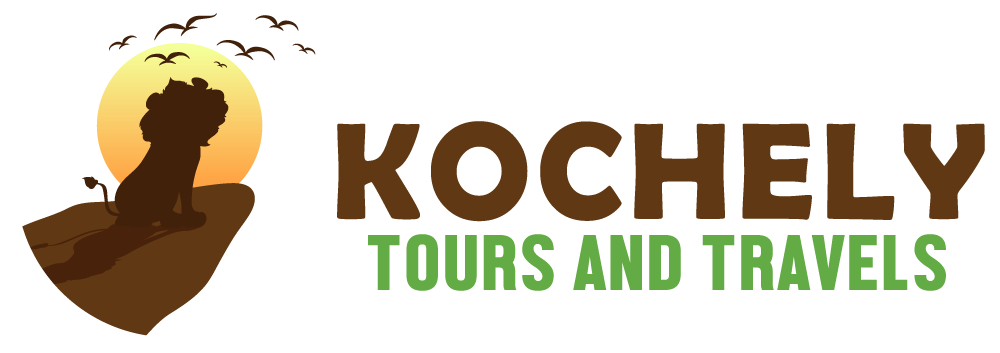 FindTourGuide