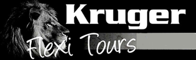 FindTourGuide