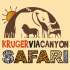 Kruger Via Canyon Safaris