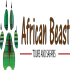 African Beast Tours and Safaris