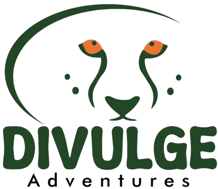 FindTourGuide