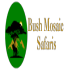 Bush Mosaic Safaris
