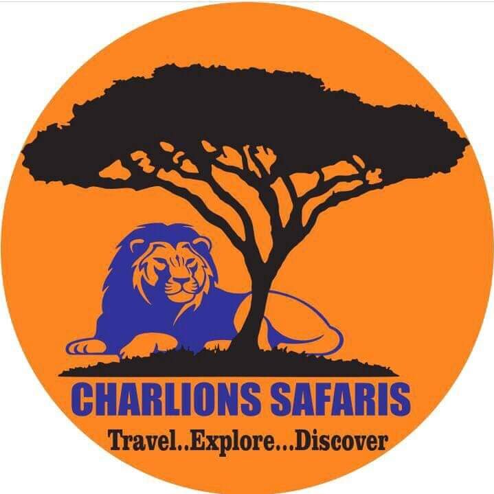 FindTourGuide