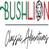 Bushlion Classic Adventures