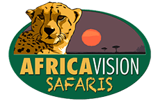 Africa Vision Safaris Tours and Travel