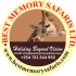 Best Memory Safaris