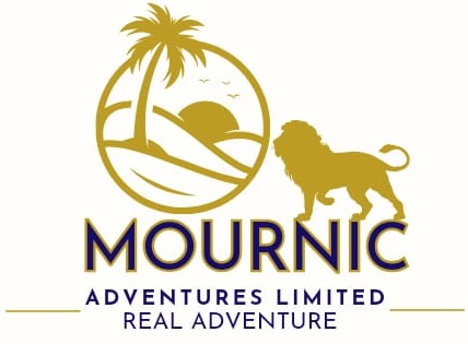 FindTourGuide