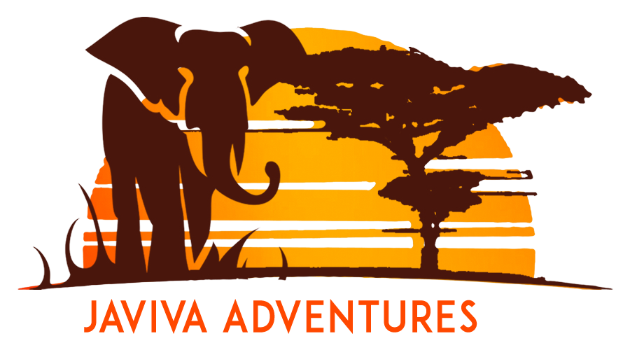 FindTourGuide