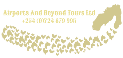 FindTourGuide