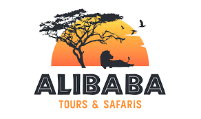 FindTourGuide