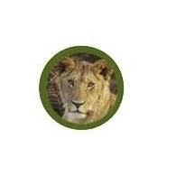 FindTourGuide