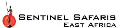 FindTourGuide