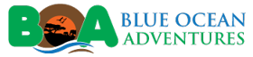 Blue Ocean Safaris