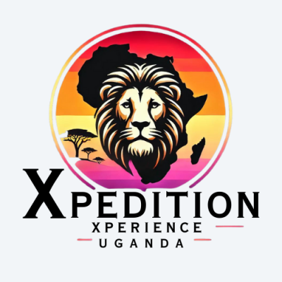 FindTourGuide