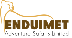FindTourGuide