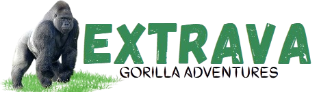 FindTourGuide